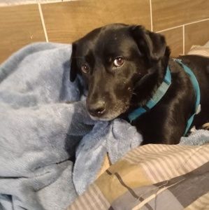 Meet your Posher, Melissia